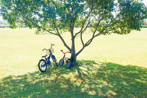 子ども自転車